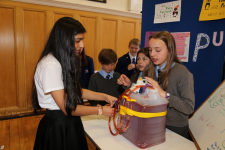 Science Fayre 2014